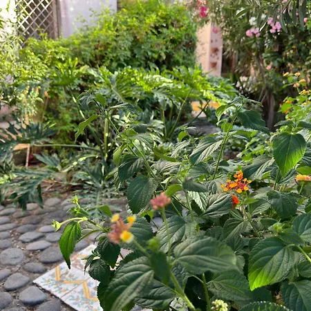 Casa Dei Limoni * Lipari (Isola Lipari)